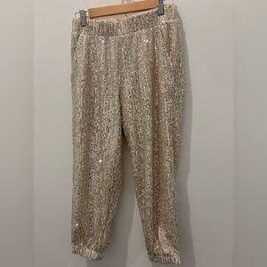LOFT Sequin Sparkle Pull On Joggers